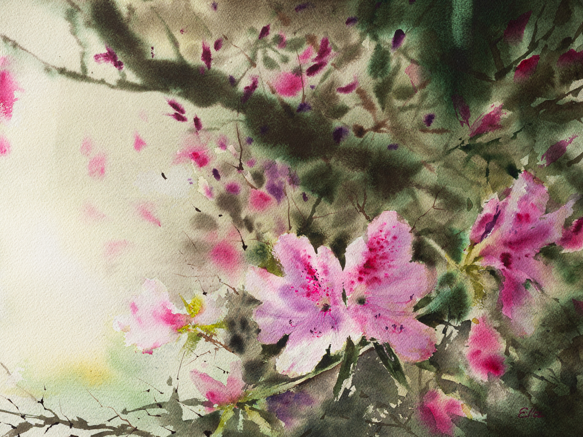 Original watercolor painting of pink azaleas in a Charleston spring garden with soft green shadows and Southern botanical atmosphere.